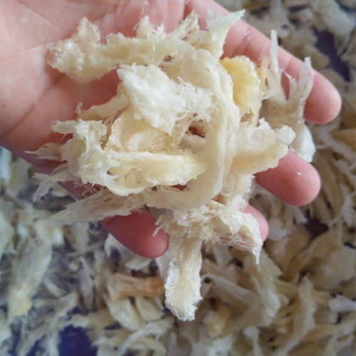 BROKEN / ANGLE PART / Chân tổ yến